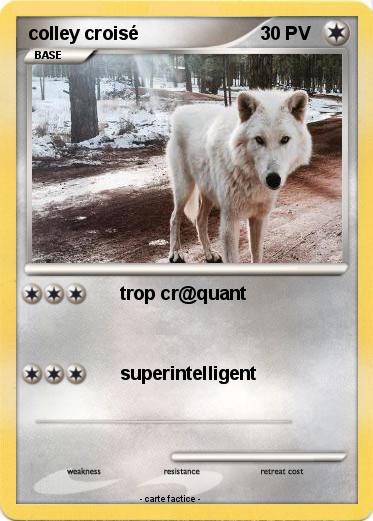 Pokemon colley croisé