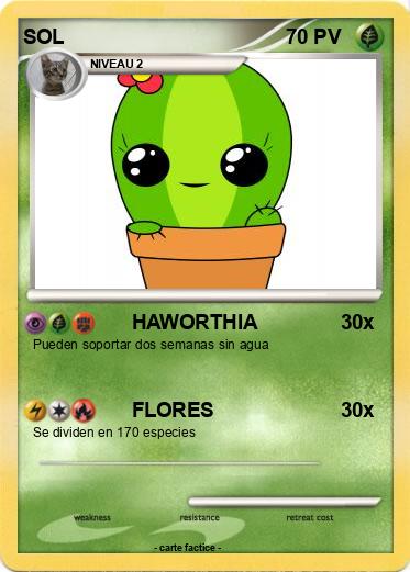 Pokemon SOL