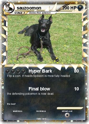 Pokemon sauzoomon