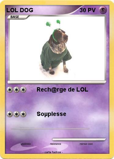 Pokemon LOL DOG