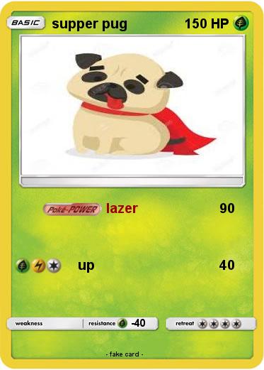 Pokemon supper pug