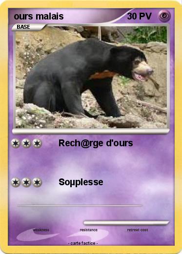 Pokemon ours malais
