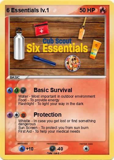 Pokemon 6 Essentials lv.1