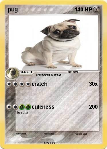 Pokemon pug