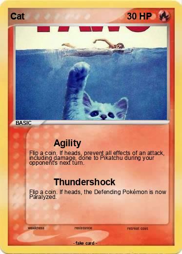 Pokemon Cat