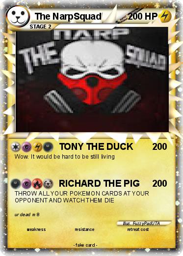 Pokemon The NarpSquad