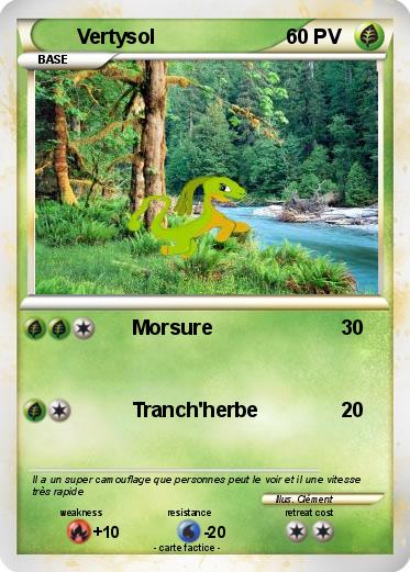 Pokemon Vertysol