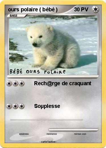 Pokemon ours polaire ( bébé )