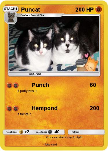 Pokemon Puncat