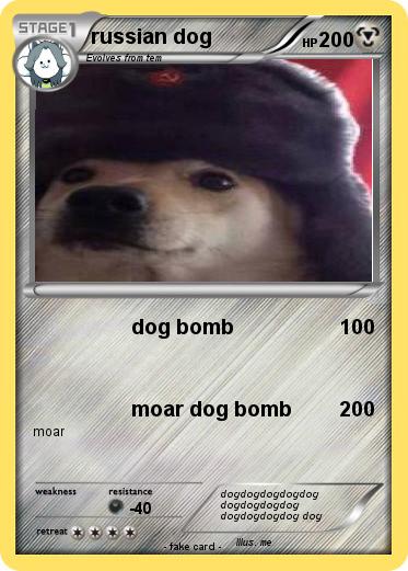Pokemon russian dog