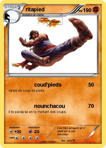 Pokemon ritapied