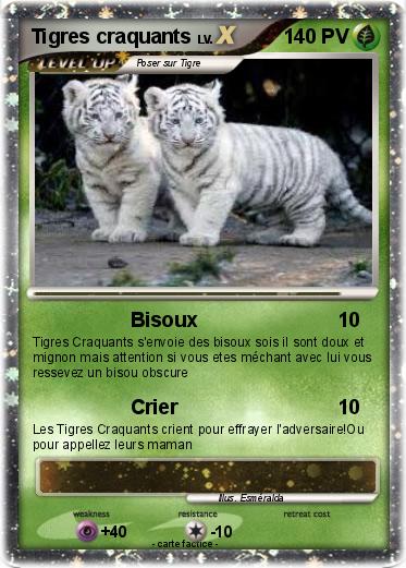 Pokemon Tigres craquants