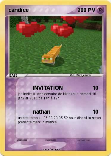 Pokemon candice
