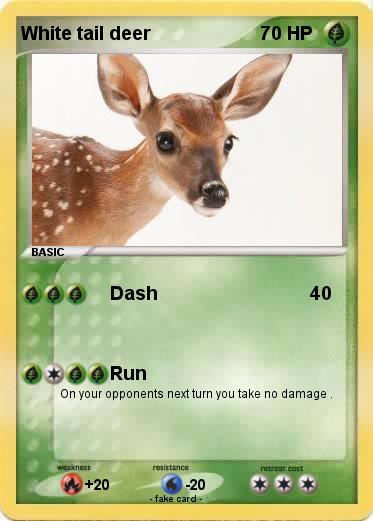 Pokemon White tail deer