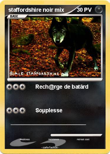 Pokemon staffordshire noir mix