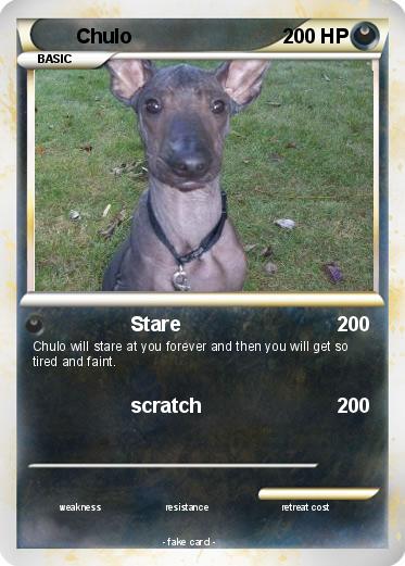Pokemon Chulo