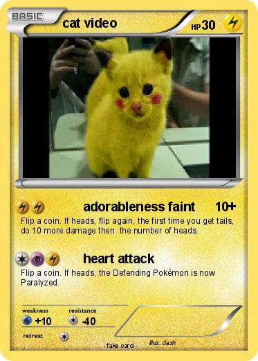 Pokemon cat video