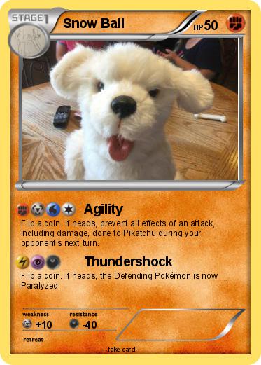 Pokemon Snow Ball