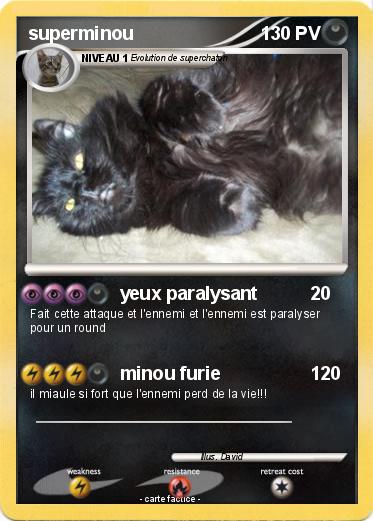 Pokemon superminou