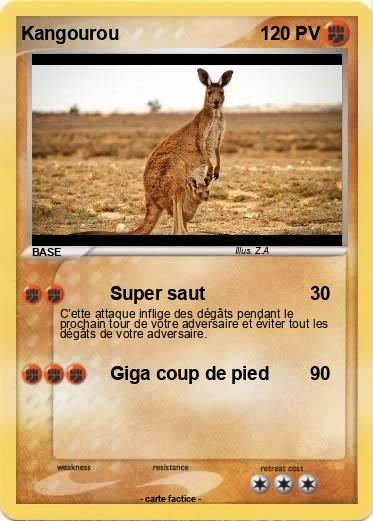 Pokemon Kangourou