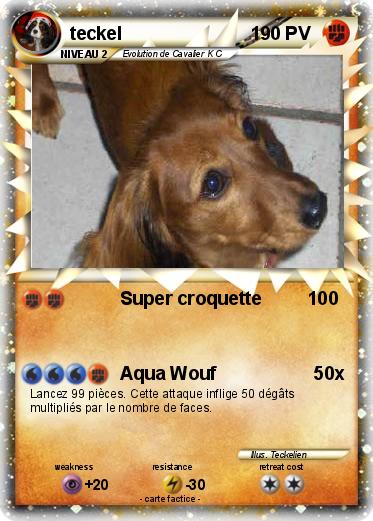 Pokemon teckel                         1