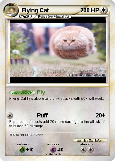 Pokemon Flying Cat