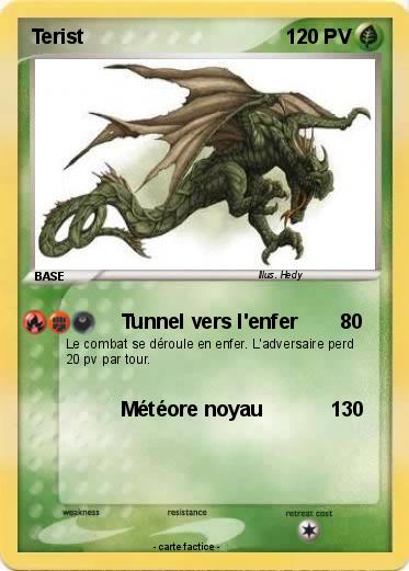 Pokemon Terist