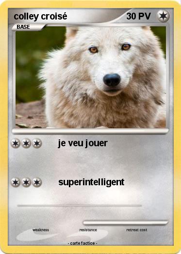 Pokemon colley croisé