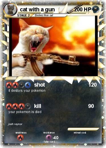 Pokemon cat with a gun