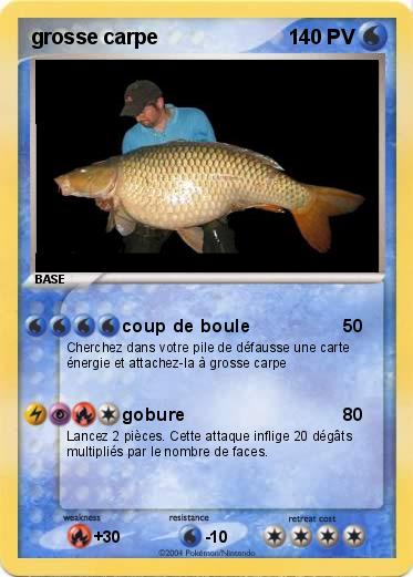 Pokemon grosse carpe