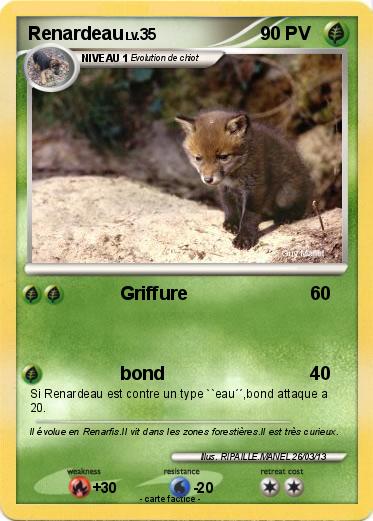 Pokemon Renardeau