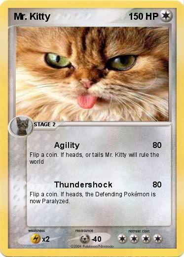 Pokemon Mr. Kitty 