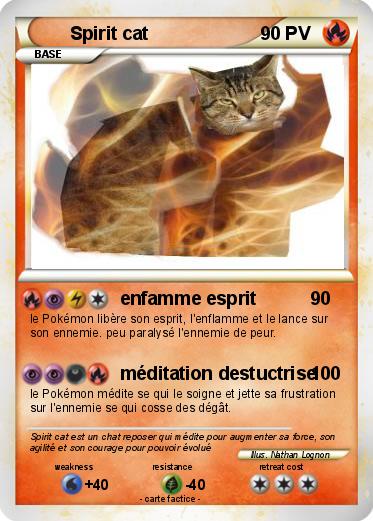 Pokemon Spirit cat