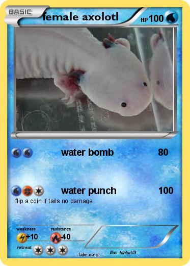 Pokemon female axolotl