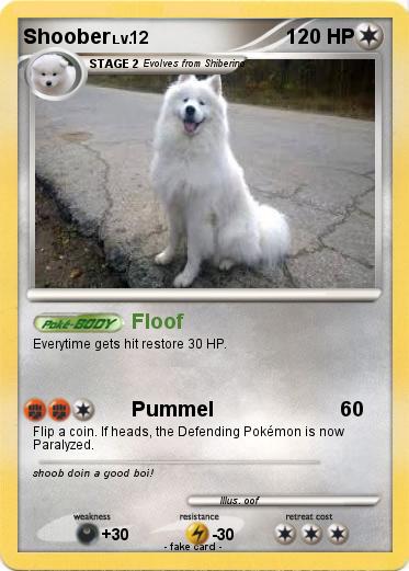 Pokemon Shoober