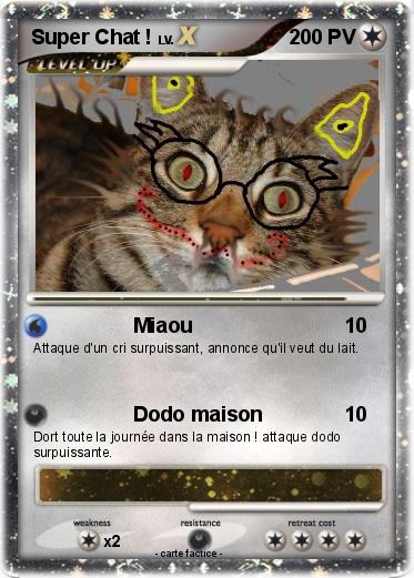 Pokemon Super Chat !