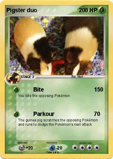 Pokemon Pigster duo