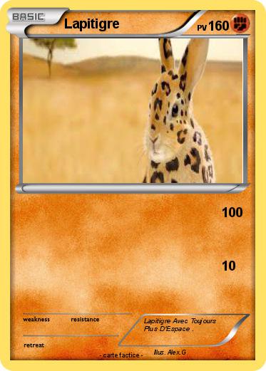 Pokemon Lapitigre