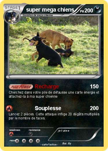 Pokemon super mega chiens