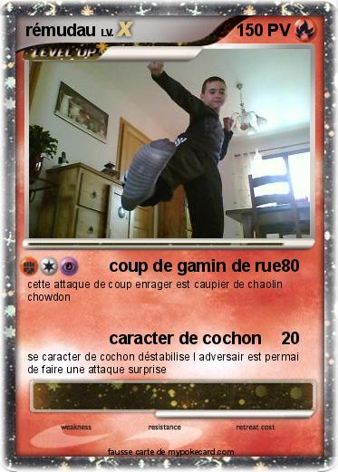 Pokemon rémudau