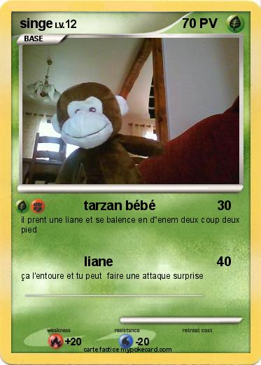 Pokemon singe