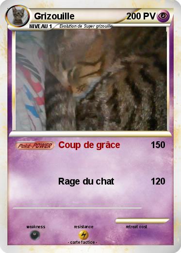 Pokemon Grizouille