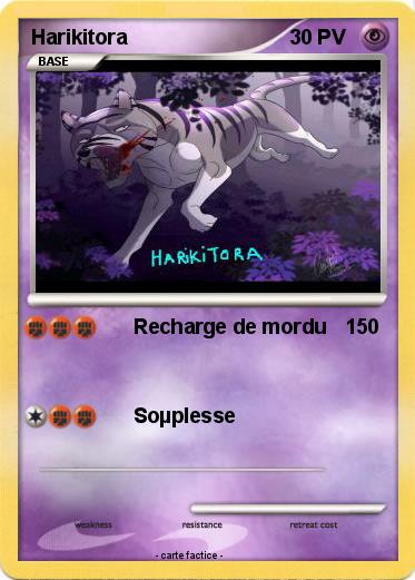 Pokemon Harikitora
