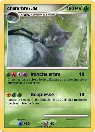 Pokemon chaterbre