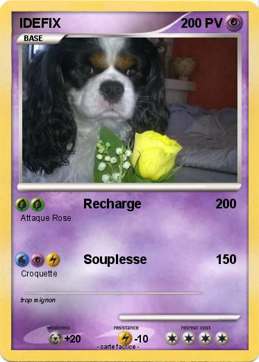 Pokemon IDEFIX
