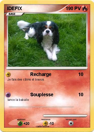 Pokemon IDEFIX