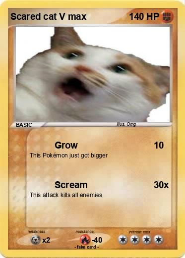 Pokemon Scared cat V max