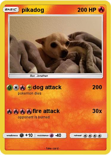 Pokemon pikadog