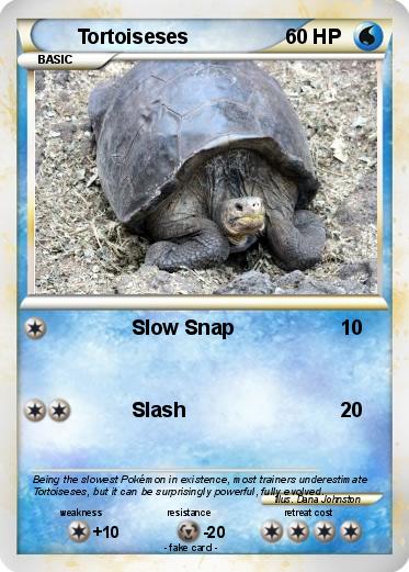 Pokemon Tortoiseses