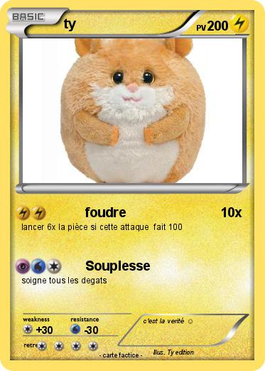 Pokemon ty